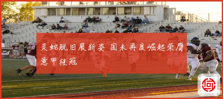灵蛇脱旧展新姿 国米再度崛起荣膺意甲桂冠