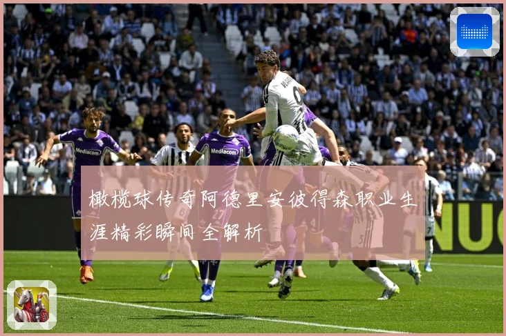 橄榄球传奇阿德里安彼得森职业生涯精彩瞬间全解析