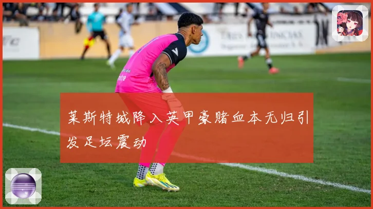 莱斯特城降入英甲豪赌血本无归引发足坛震动